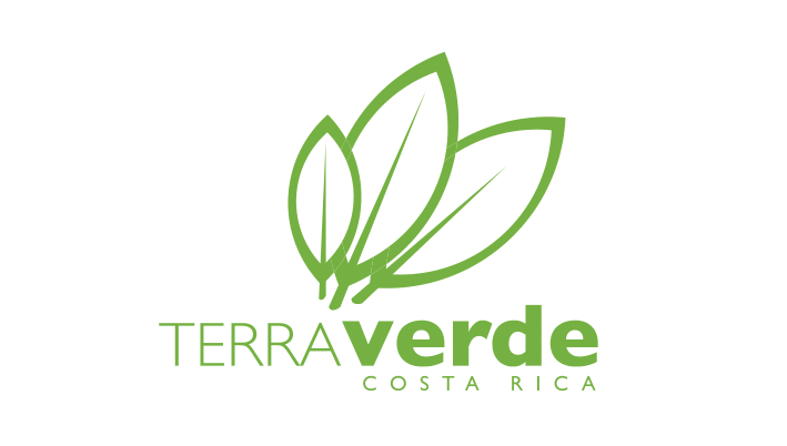 TERRA VERDE