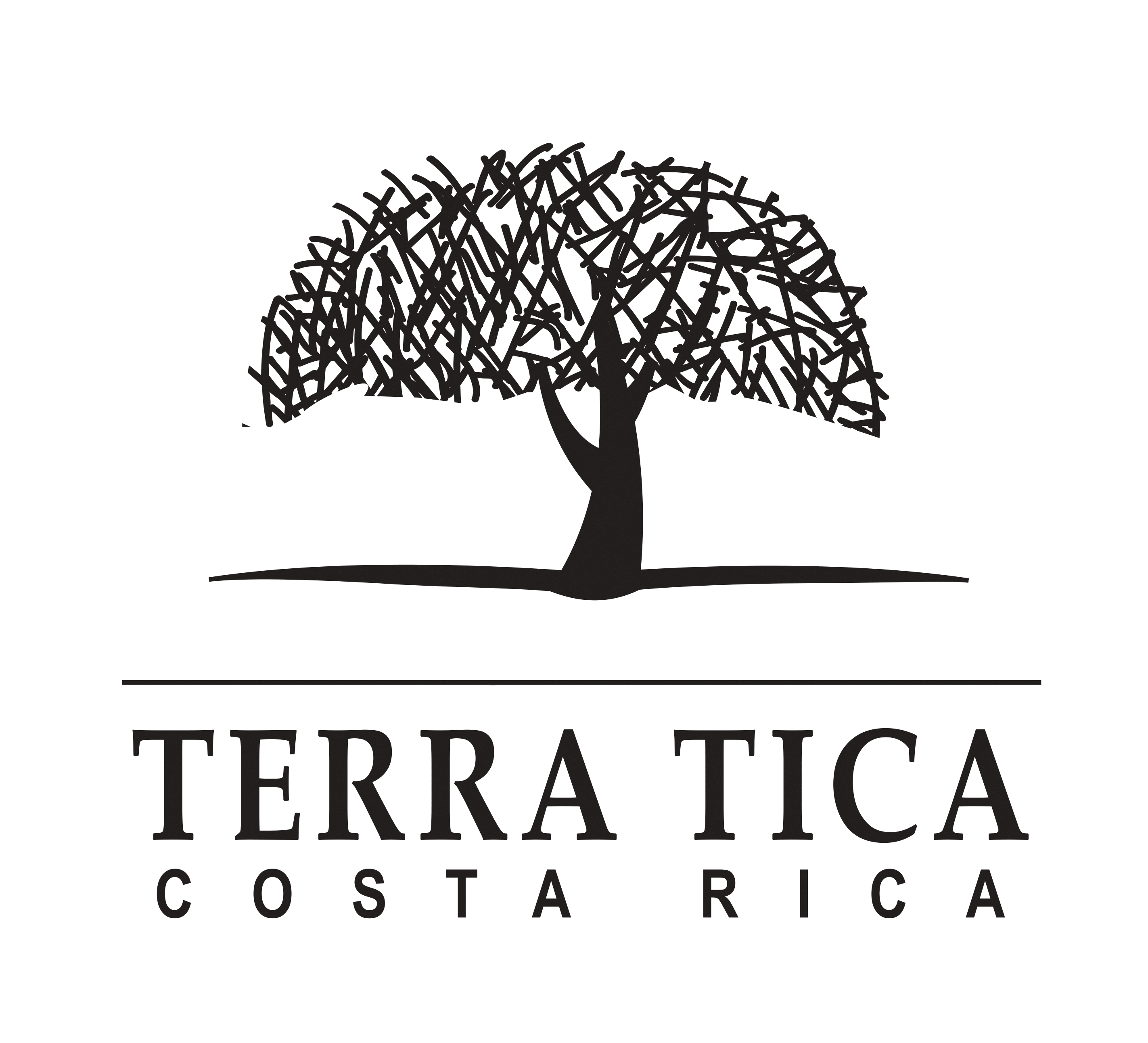 TERRA TICA