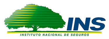 INS Seguros